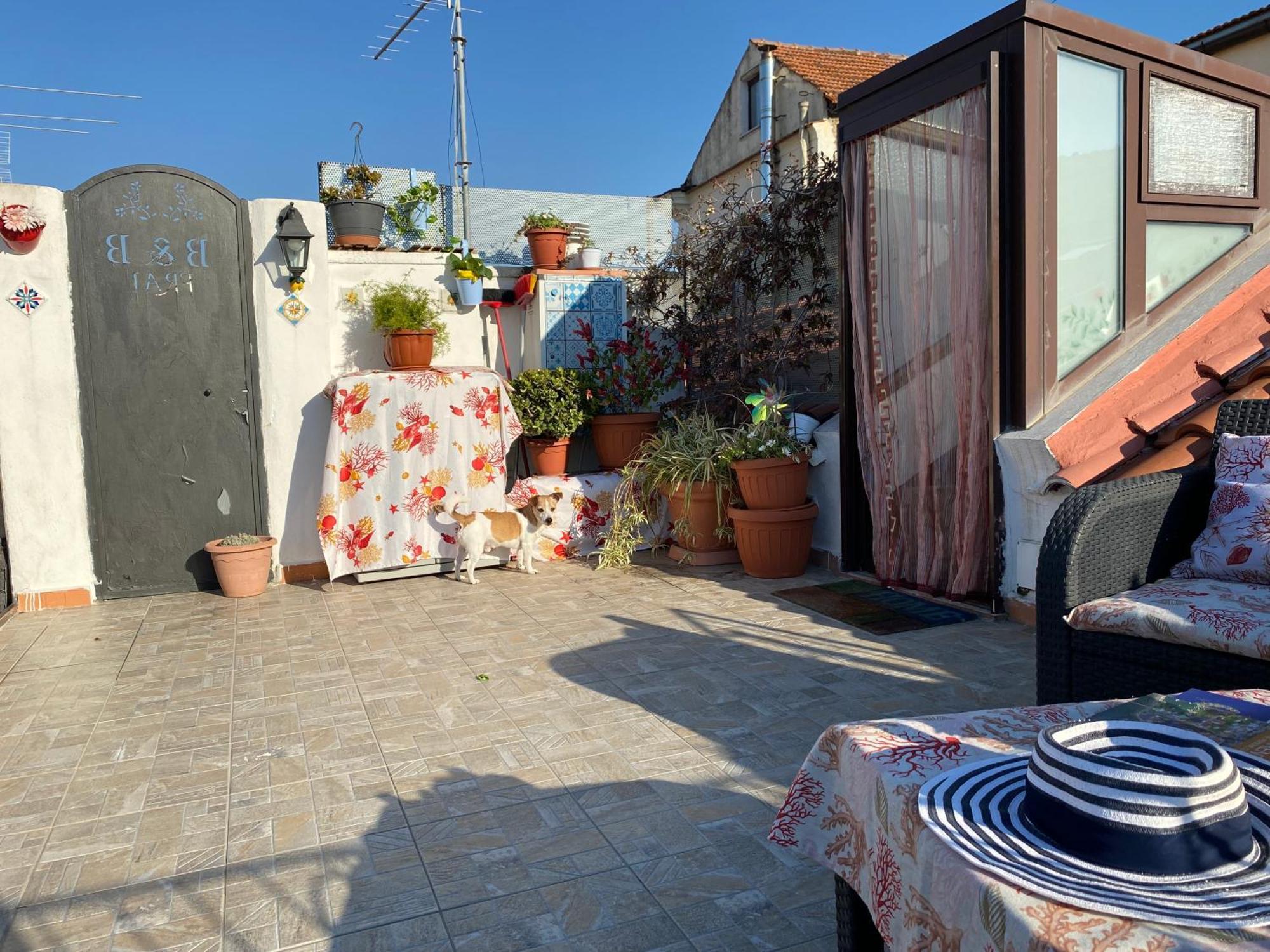 B&B Frai Sorrento Bagian luar foto