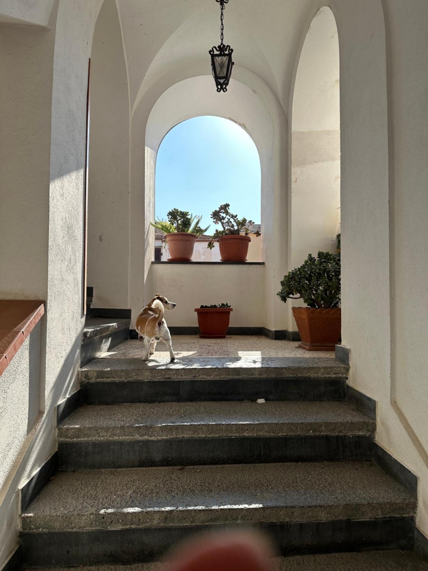B&B Frai Sorrento Bagian luar foto
