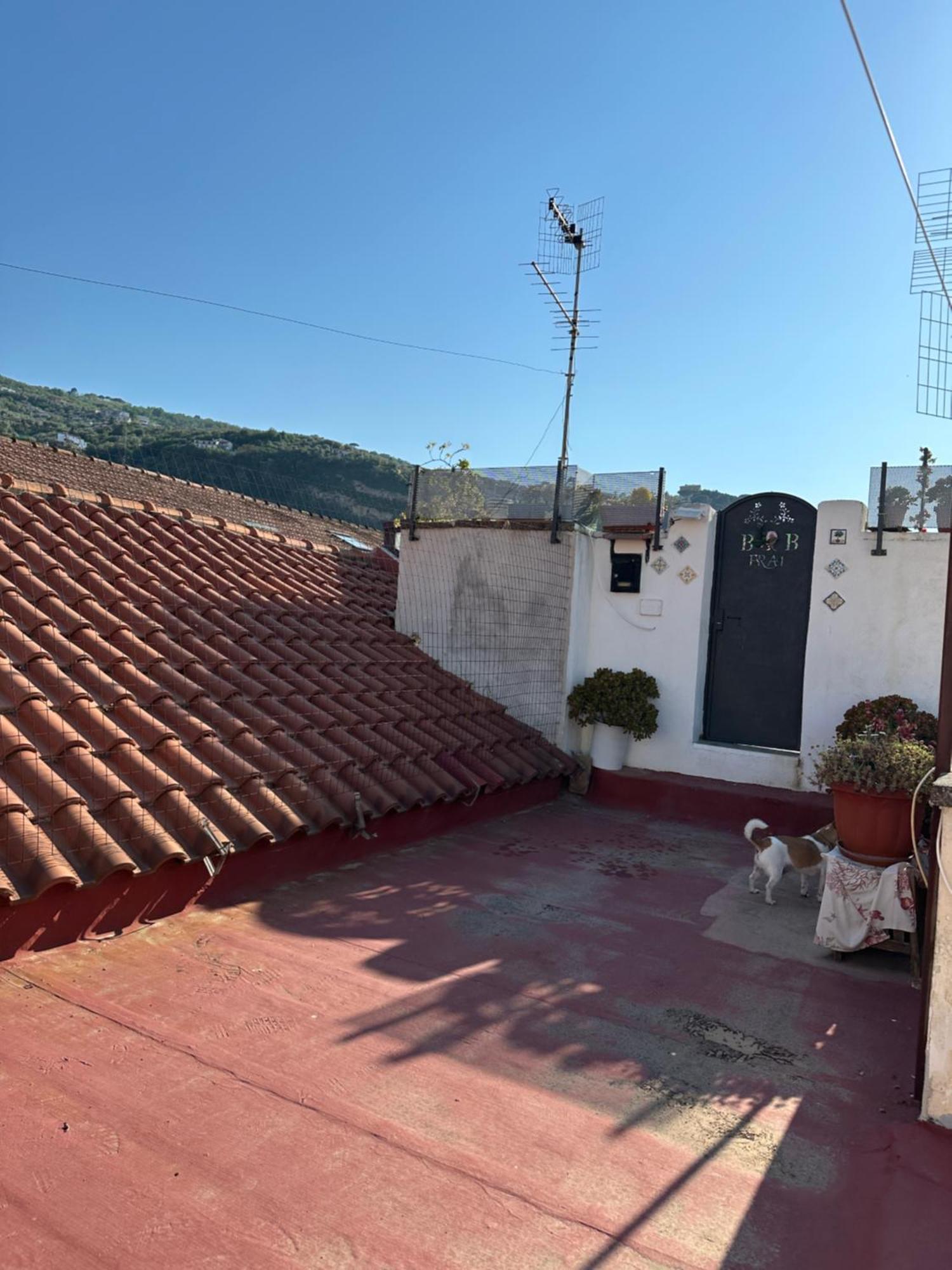 B&B Frai Sorrento Bagian luar foto